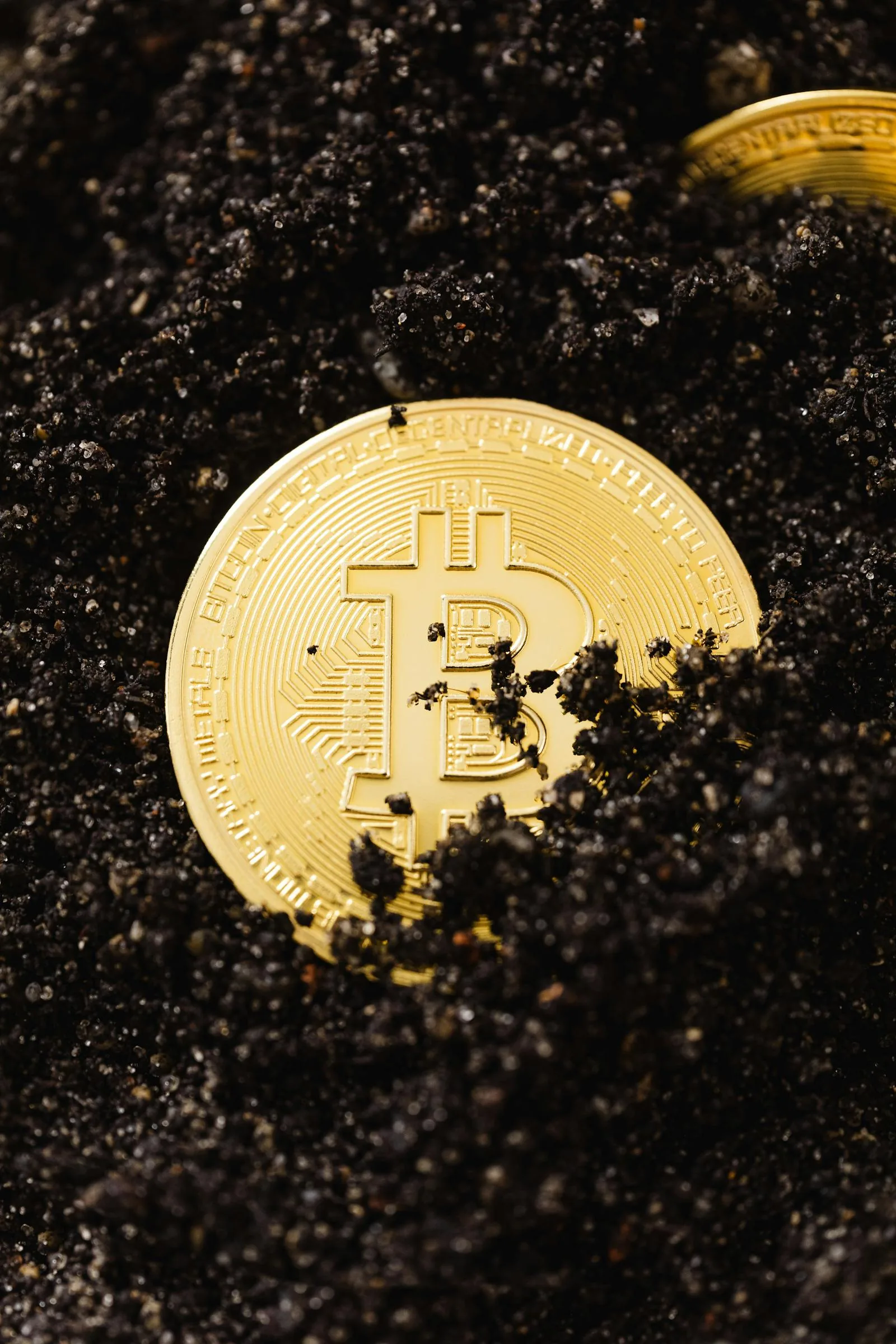 Hard fork vs soft fork cơ bản — thay đổi consensus rules trong blockchain