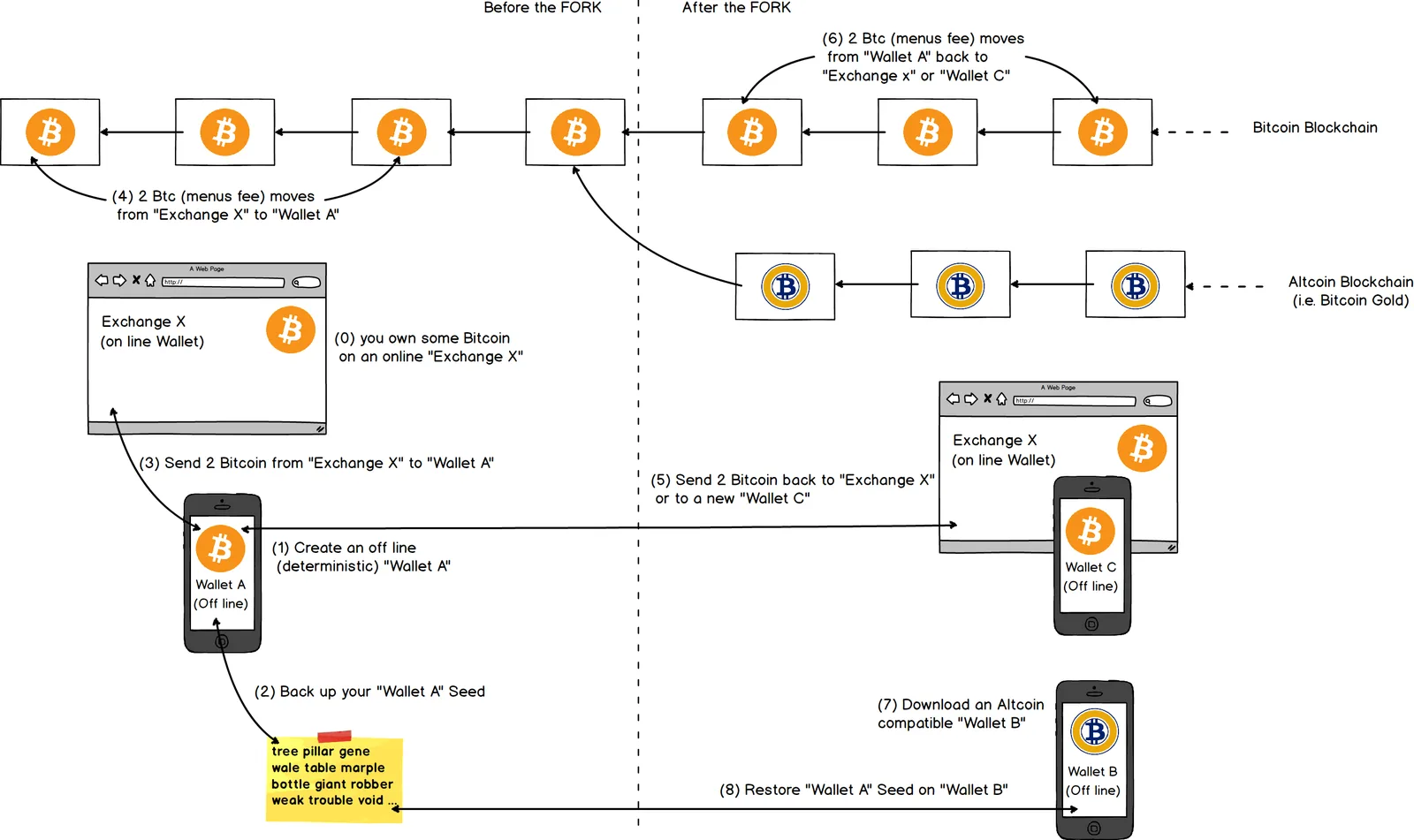 Fork trong Blockchain: Hard Fork và Soft Fork