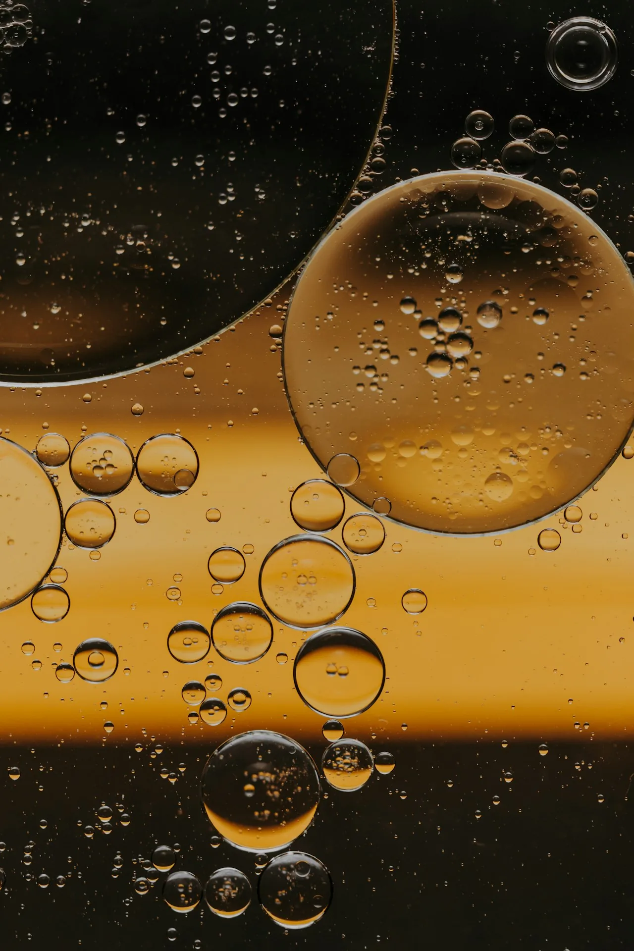 Rủi ro liquidity pool mà 51% LP bỏ qua: impermanent loss, exploit và rug pull
